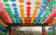 IMG_3365.JPG
