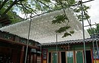 DSC05228.JPG