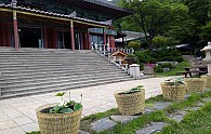 KakaoTalk_20190618_153039664.jpg