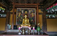 DSC05572.JPG