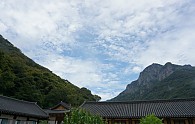 DSC06115.JPG