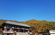 20191108_120149.jpg