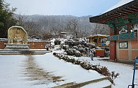 20200217_092442.jpg