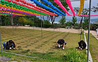 KakaoTalk_20200512_142826341_01.jpg