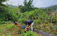 20200626_103321.jpg