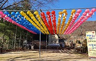 20201208_113228.jpg