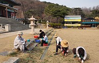 0318 봄날운력.jpg