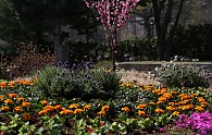 2M3A7686.JPG
