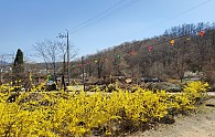 KakaoTalk_20230326_141928904_03.jpg