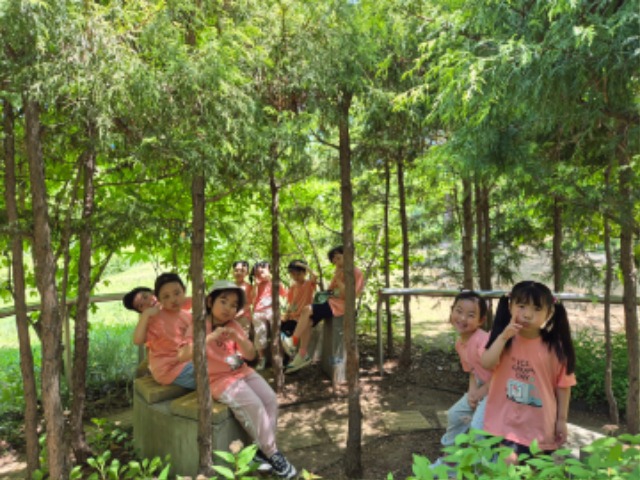 KakaoTalk_20250617_133301136.jpg