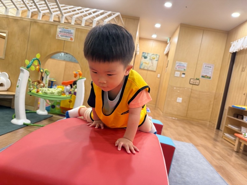img (8).jpg