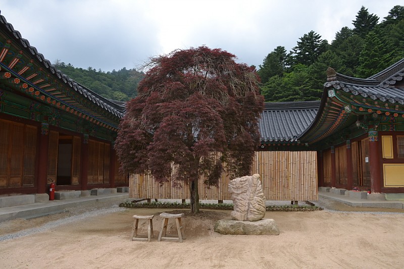 크기변환_DSC_0080.JPG