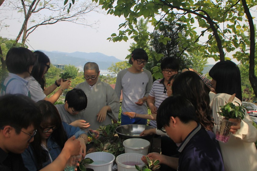 변환_IMG_6058.JPG