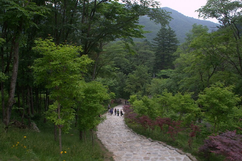 크기변환_DSC_0237.NEF.jpg