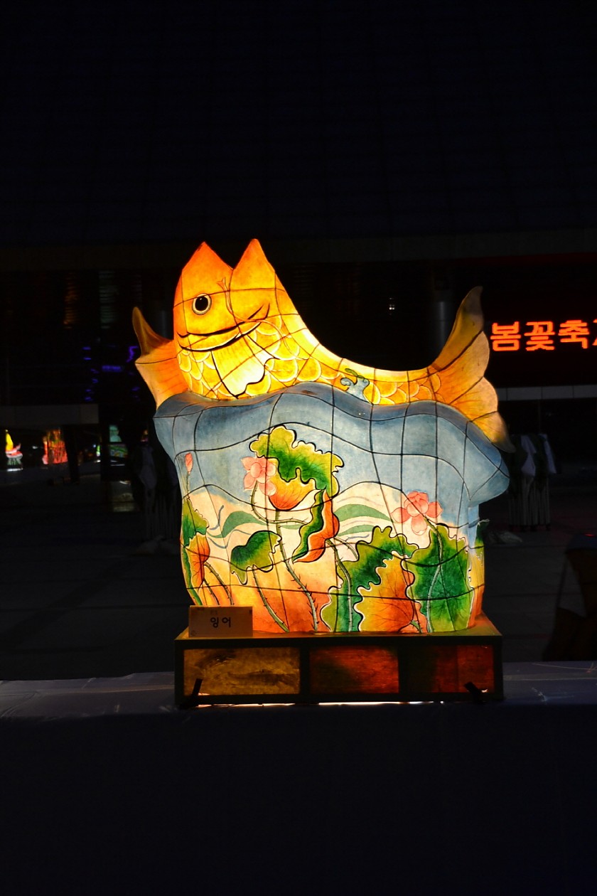 DSC_0318.jpg