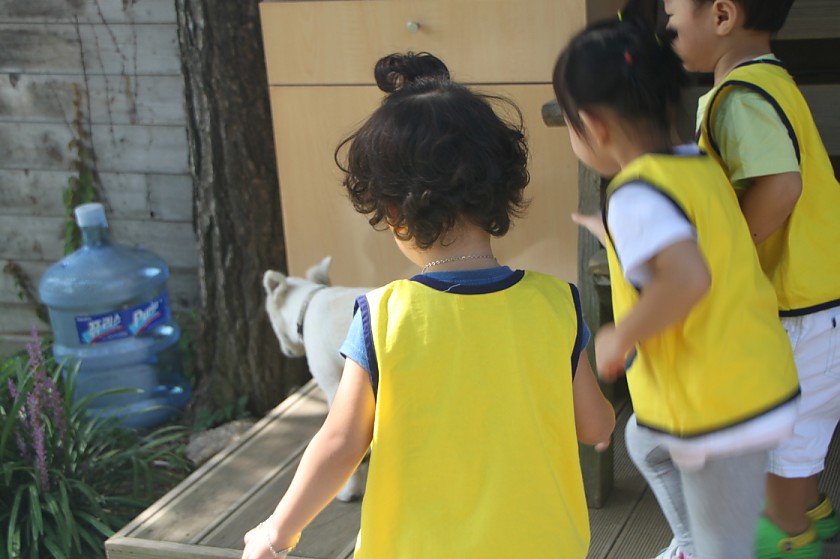 004.JPG