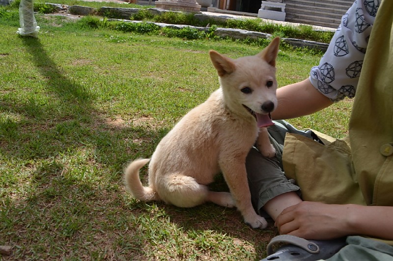 크기변환_DSC_0189.JPG