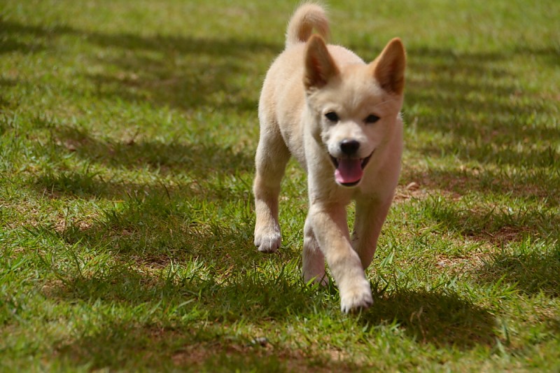 크기변환_DSC_0067.JPG