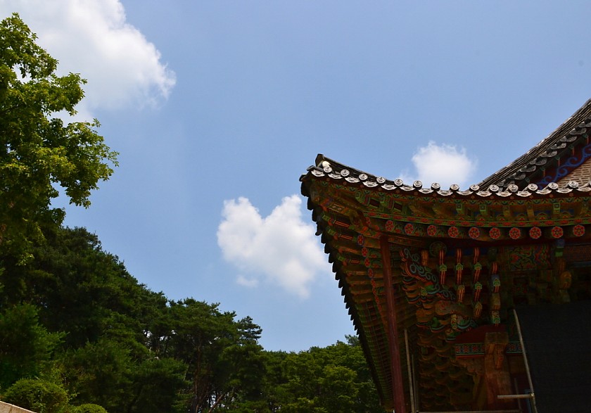 DSC_0210.jpg