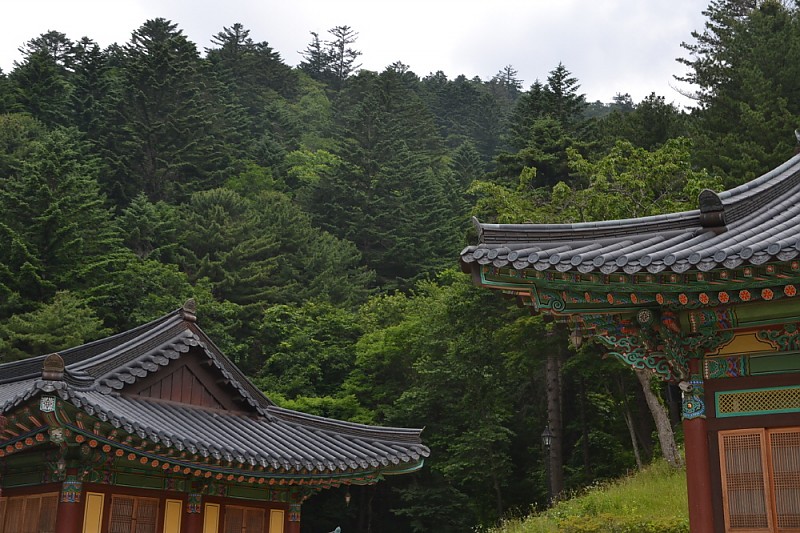 크기변환_DSC_0082.JPG