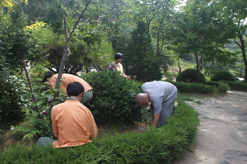 변환_IMG_6389.JPG