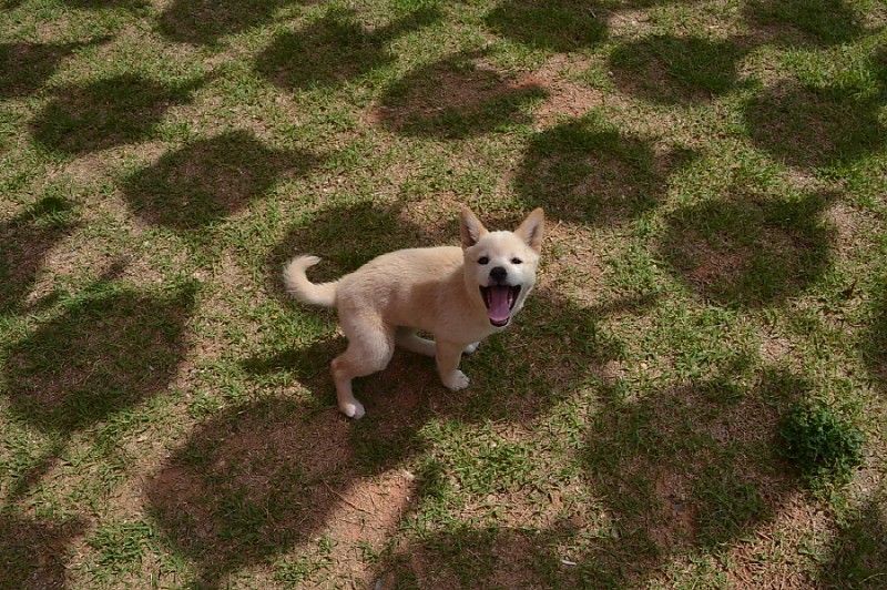 크기변환_DSC_0089.JPG
