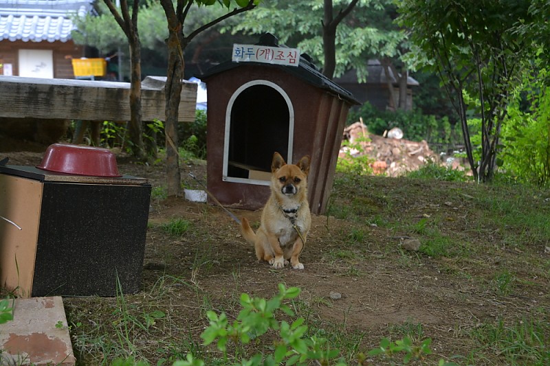 크기변환_DSC_0457.JPG