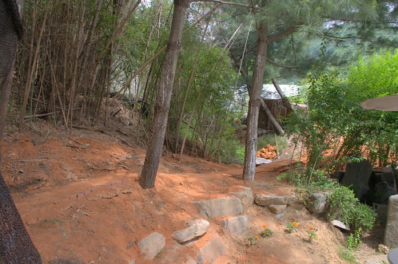 크기변환_DSC_0037.NEF.jpg