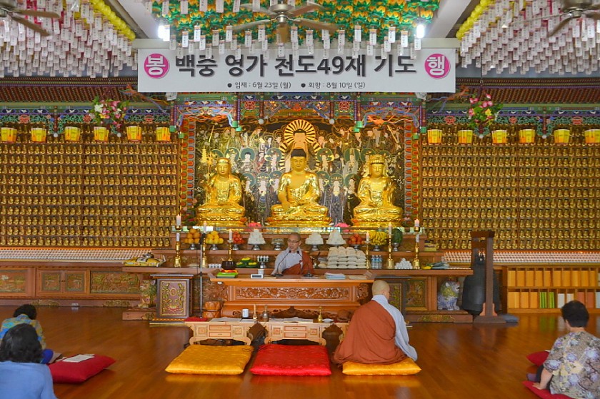 크기변환_DSC_0441.JPG