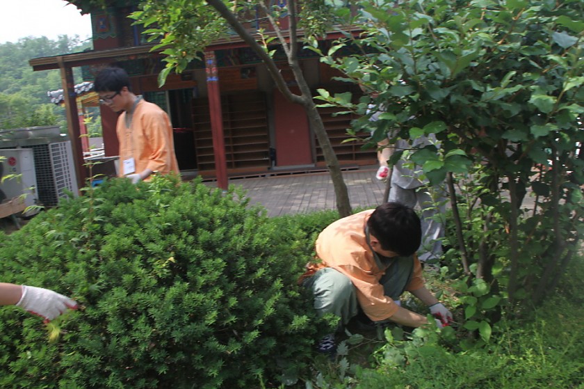 변환_IMG_6391.JPG