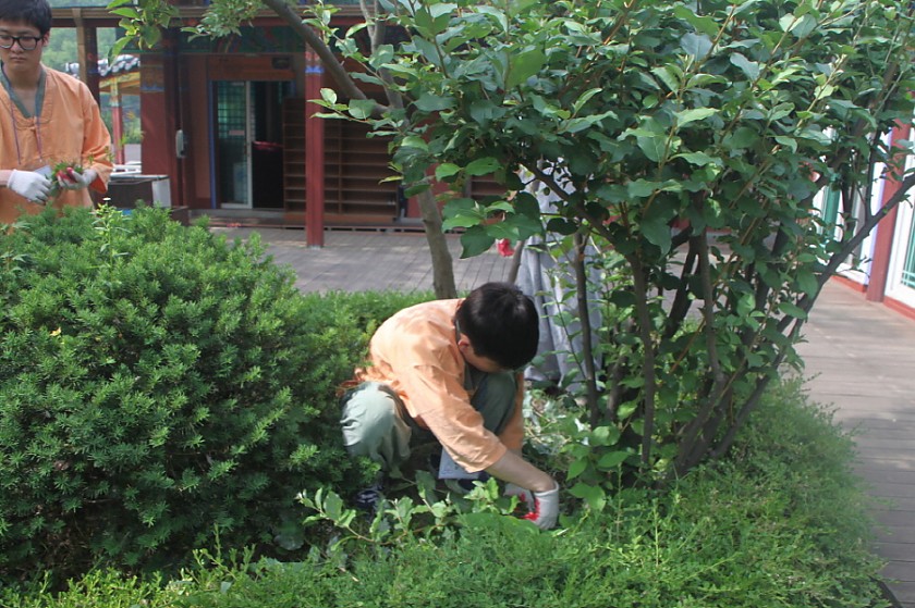 변환_IMG_6393.JPG