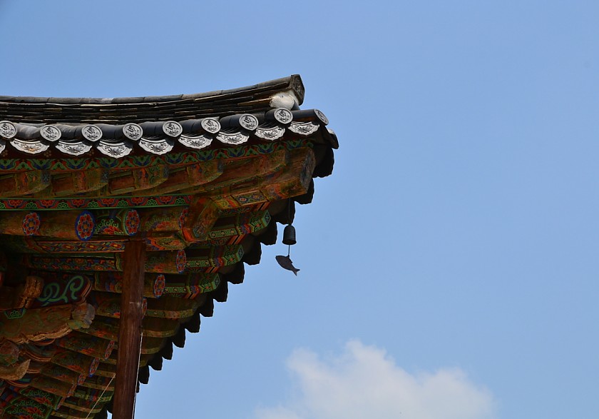 DSC_0212.jpg