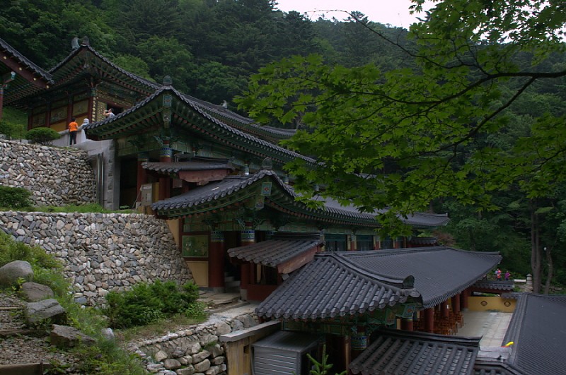 크기변환_DSC_0221.NEF.jpg