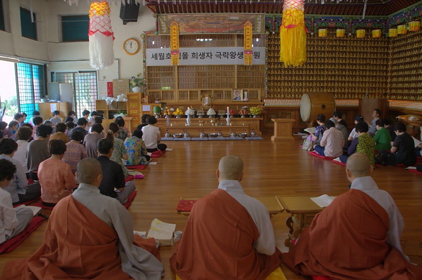 크기변환_DSC_0126.NEF.jpg