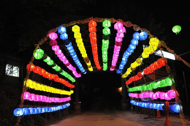 buddha-205.jpg