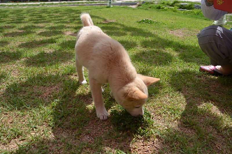크기변환_DSC_0224.JPG