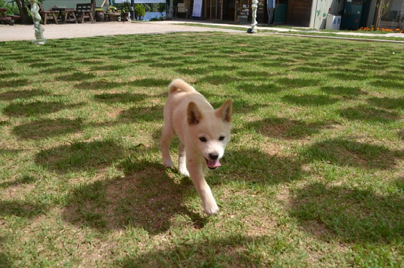 크기변환_DSC_0353.JPG