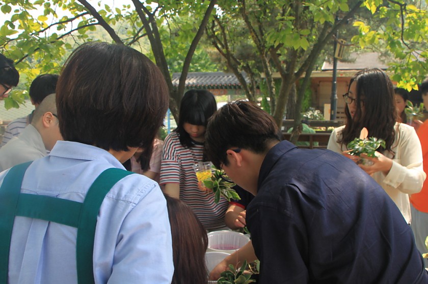 변환_IMG_6057.JPG