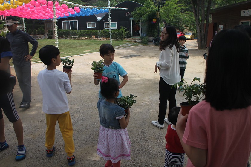 변환_IMG_6013.JPG