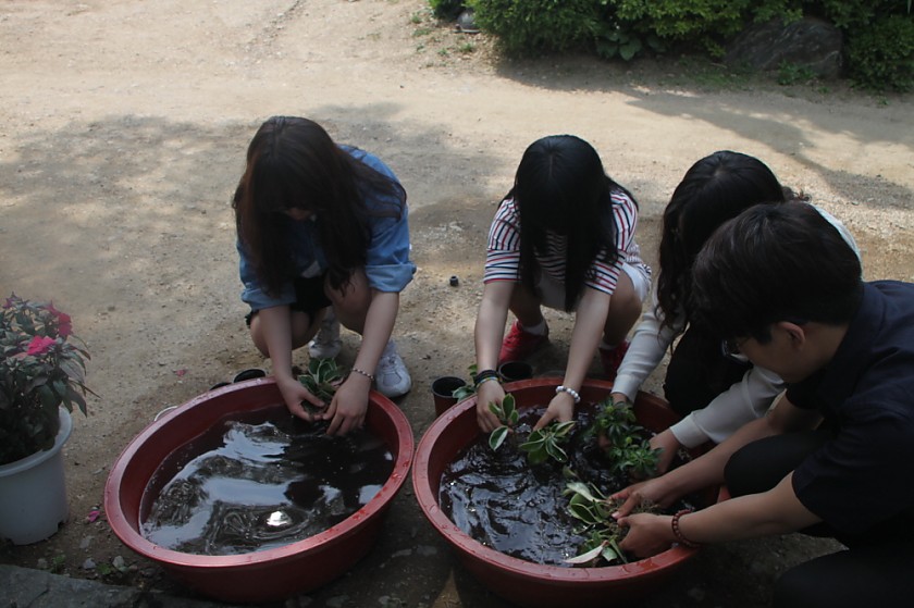 변환_IMG_6051.JPG