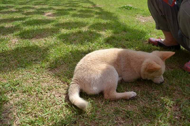 크기변환_DSC_0231.JPG