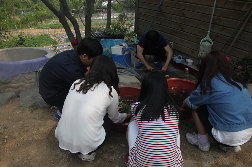 변환_IMG_6050.JPG