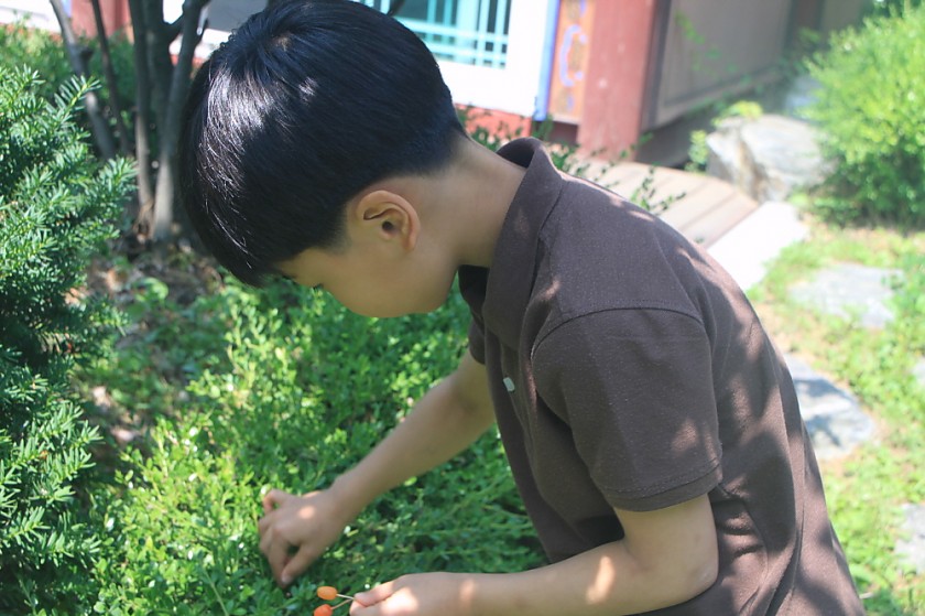 크기변환_IMG_6586.JPG