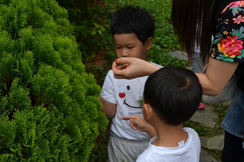 DSC_0012.jpg