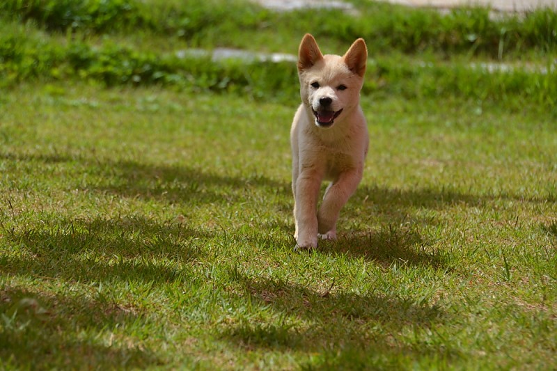 크기변환_DSC_0065.JPG