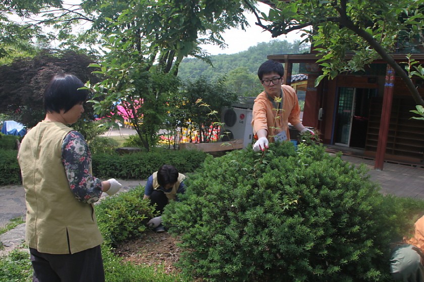 변환_IMG_6392.JPG